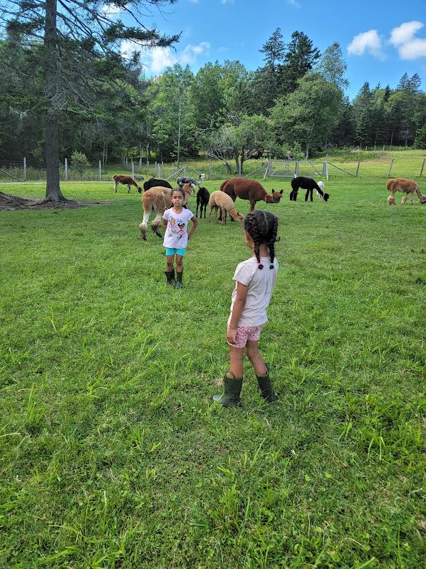 Girls Playing with Animals